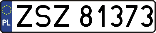 ZSZ81373