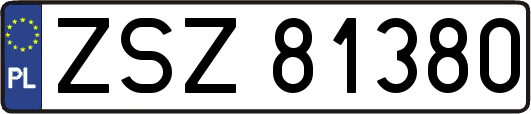 ZSZ81380