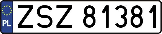 ZSZ81381