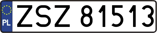 ZSZ81513