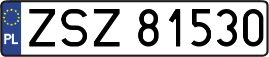 ZSZ81530
