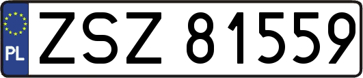 ZSZ81559