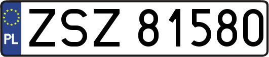 ZSZ81580