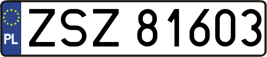 ZSZ81603