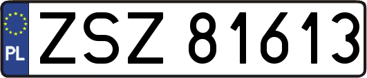 ZSZ81613