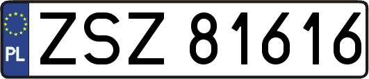 ZSZ81616