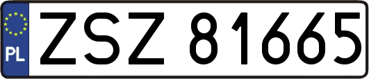 ZSZ81665