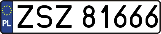 ZSZ81666