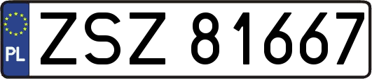 ZSZ81667