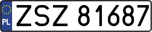 ZSZ81687