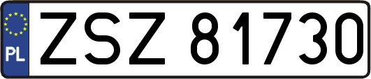 ZSZ81730
