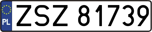ZSZ81739