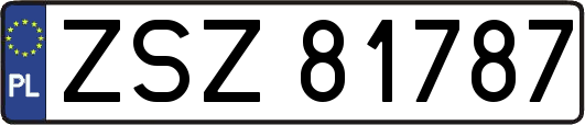 ZSZ81787