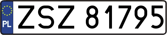 ZSZ81795