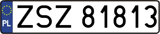 ZSZ81813