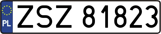 ZSZ81823