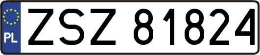 ZSZ81824