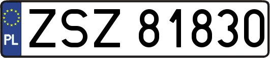 ZSZ81830