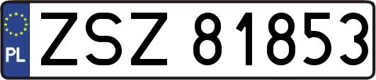 ZSZ81853