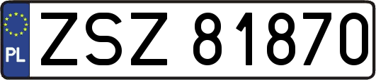 ZSZ81870