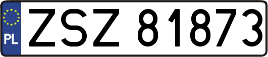 ZSZ81873