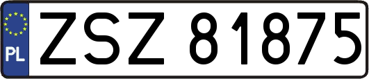 ZSZ81875
