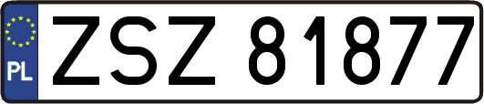 ZSZ81877