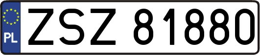 ZSZ81880