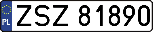 ZSZ81890