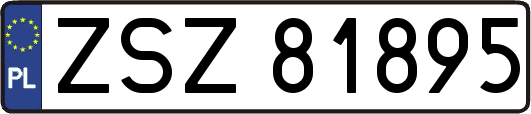 ZSZ81895