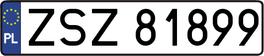 ZSZ81899