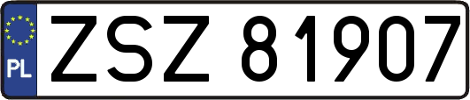 ZSZ81907