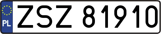 ZSZ81910