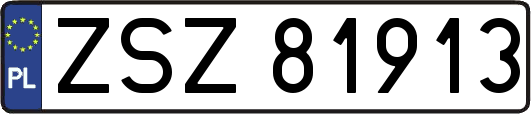 ZSZ81913