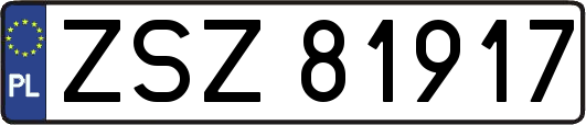 ZSZ81917