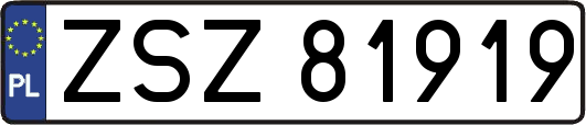 ZSZ81919