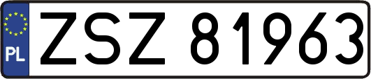 ZSZ81963