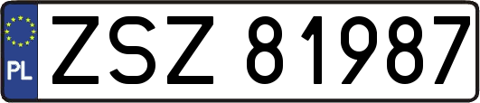 ZSZ81987