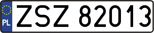 ZSZ82013