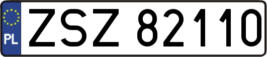 ZSZ82110