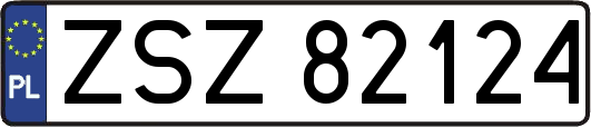 ZSZ82124