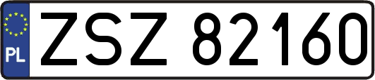 ZSZ82160
