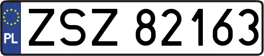 ZSZ82163