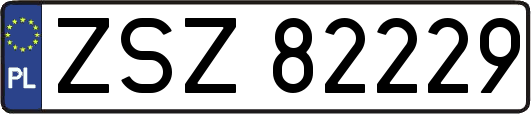 ZSZ82229