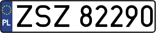 ZSZ82290