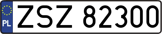 ZSZ82300