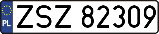 ZSZ82309