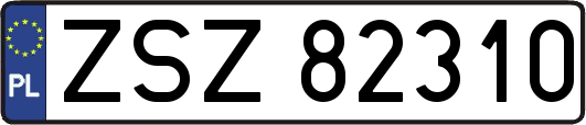 ZSZ82310