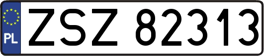 ZSZ82313