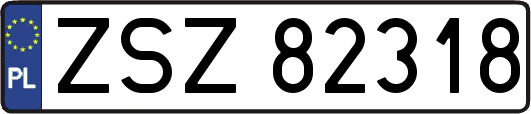 ZSZ82318